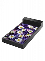 Цветник ромашки