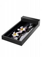 Цветник плюмерия