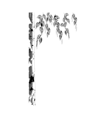 Памятник. Комплект 63-6 РП стела 80х40х5