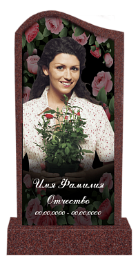 Фото №1-1 Розы