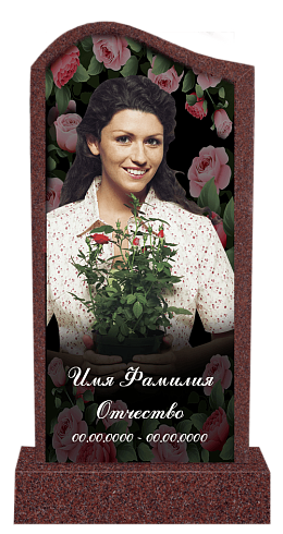 Фото №1-1 Розы