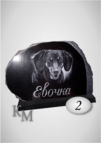 Памятник собаке 2